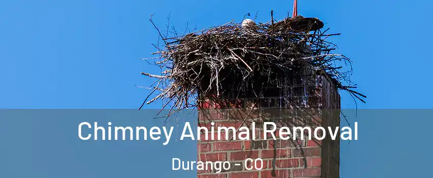  Chimney Animal Removal Durango - CO