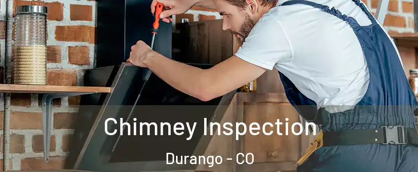  Chimney Inspection Durango - CO