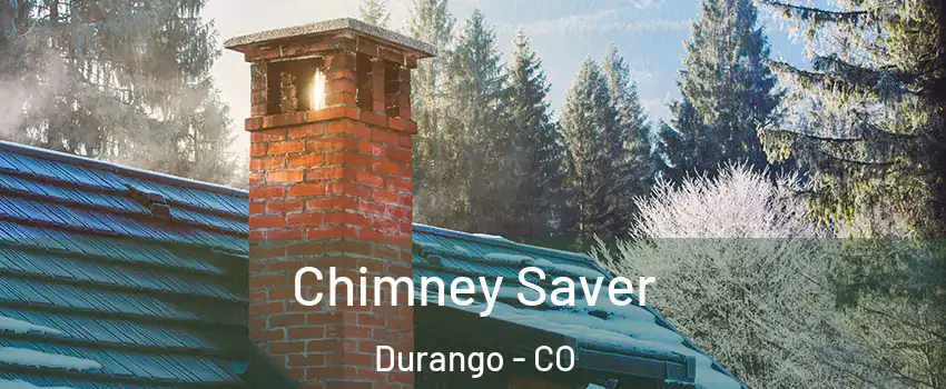  Chimney Saver Durango - CO