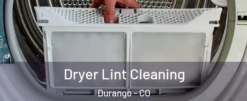  Dryer Lint Cleaning Durango - CO