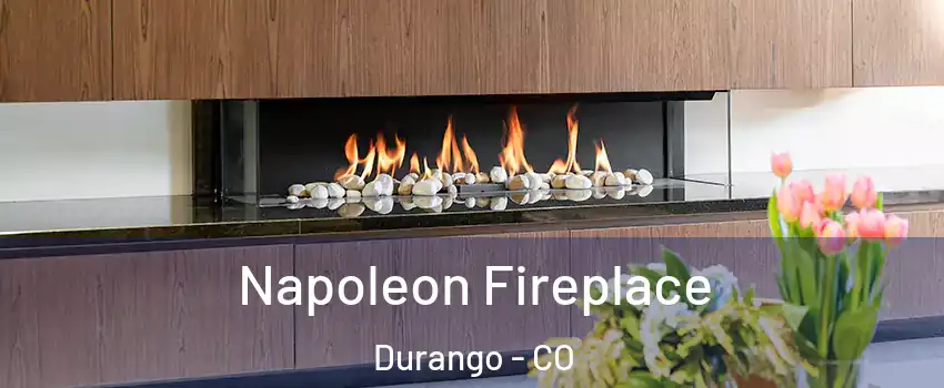  Napoleon Fireplace Durango - CO